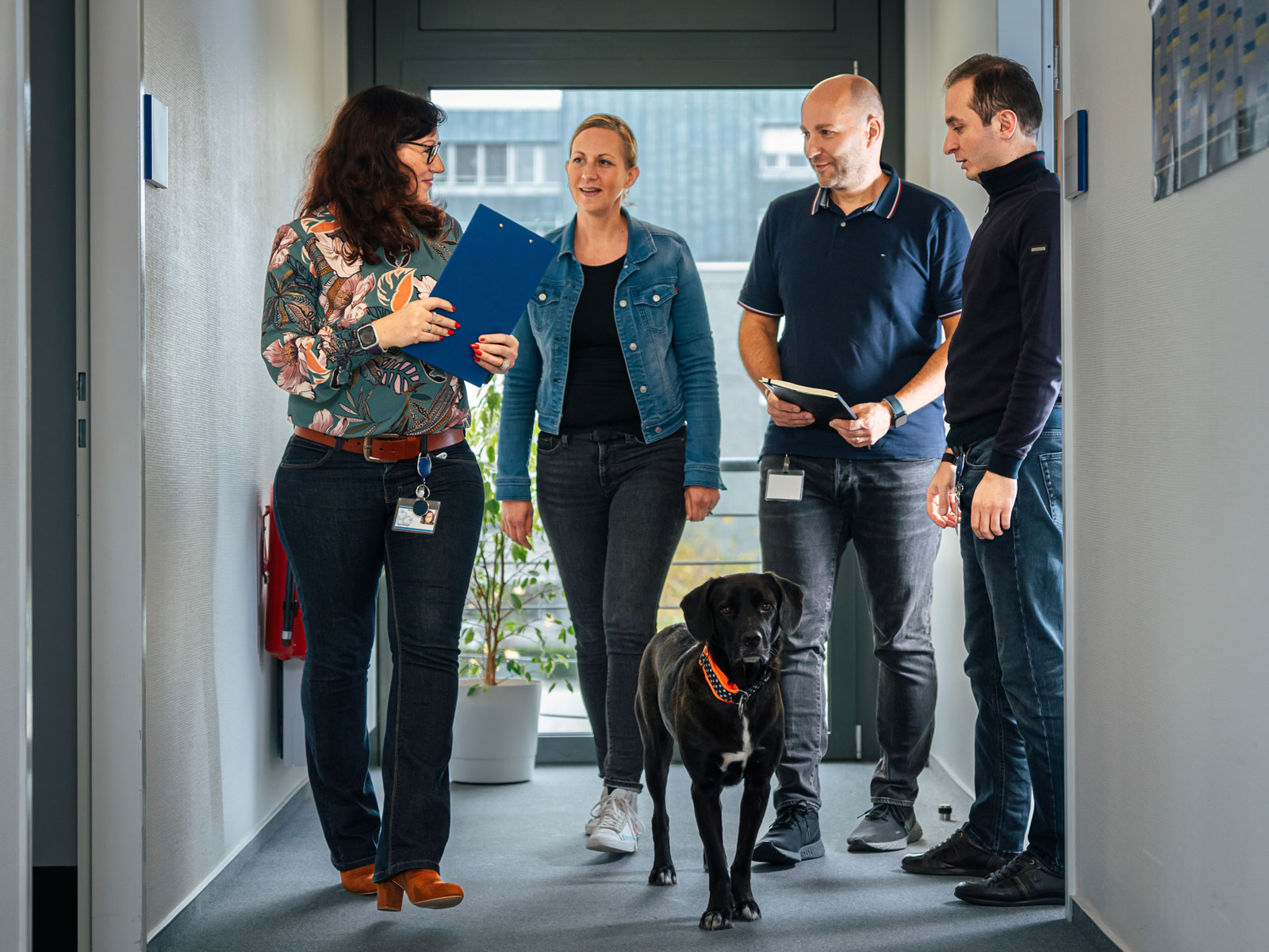 Mitarbeitende laufen gemeinsam mit dem Bürohund über einen Flur des Büros
